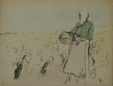  Affiche Ancienne Originale 52. Femme dans les vignes avec un panier - 1289827234319.jpg