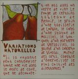  Affiche Ancienne Originale Variations naturelles - Catalogue 1996 - 1290173434336.jpg