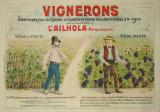  Affiche Ancienne Originale Vignerons débarassez vous ... traitement l’Ailh - 14335947591427.jpg