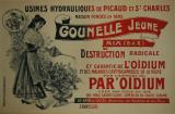  Affiche Ancienne Originale Destruction de l'oidium Gounelle jeune - 1433594964781.jpg