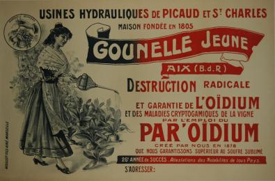  Affiche Ancienne Originale Destruction de l'oidium Gounelle jeune Par Anonyme - 1433594964781.jpg